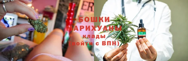 ГАЛЛЮЦИНОГЕННЫЕ ГРИБЫ Алзамай