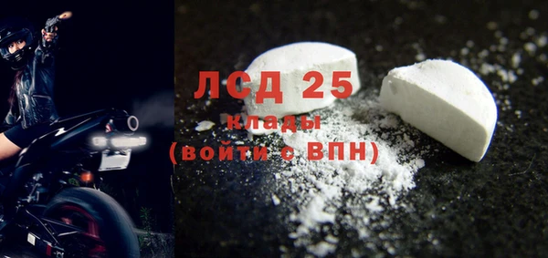 ГАЛЛЮЦИНОГЕННЫЕ ГРИБЫ Алзамай